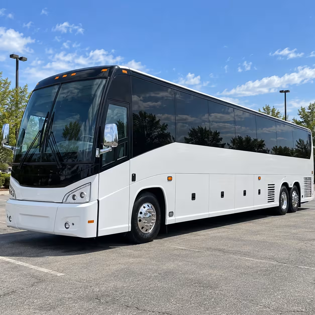 56 passenger charter bus
