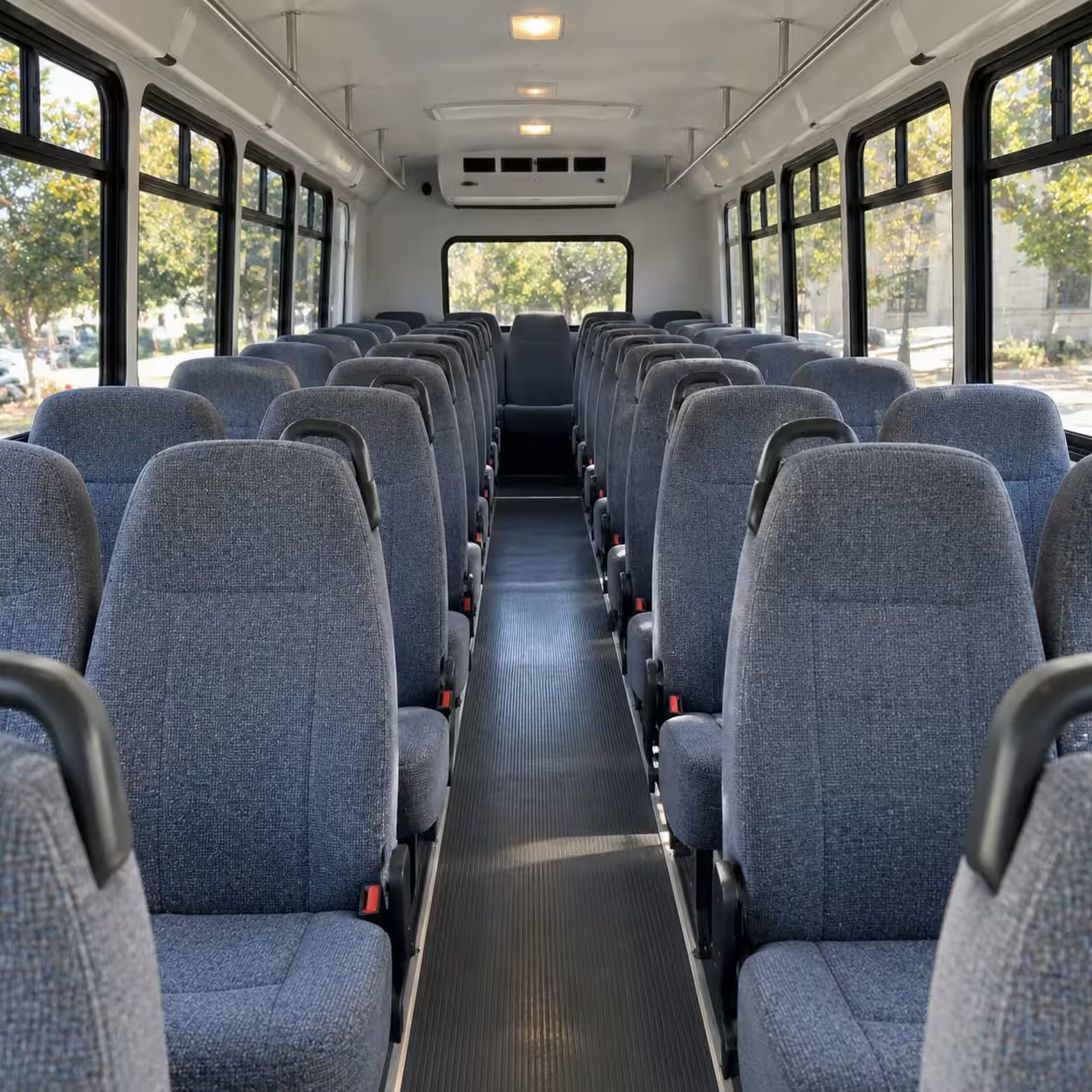 hemet 18 passenger minibus rental
