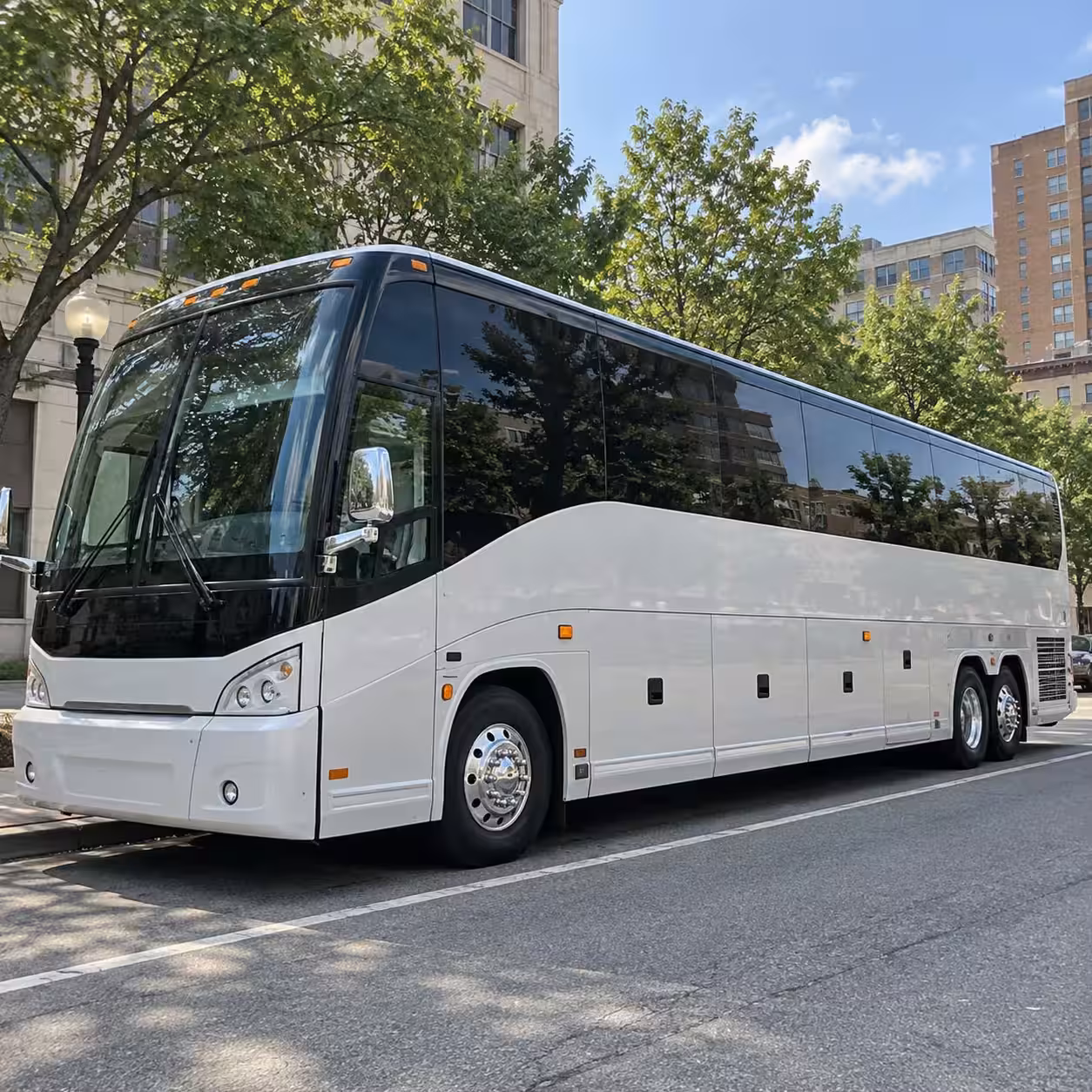 hemet hotel to ramona bowl wedding minibus rentals